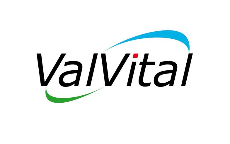 groupe valvital logo